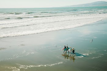people carrying surfboards walking along seashore