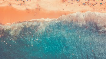 People Gathering in the Beach Top-view Photography