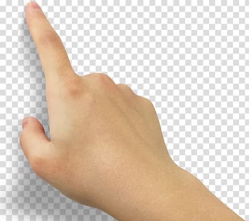 People hands transparent background PNG clipart
