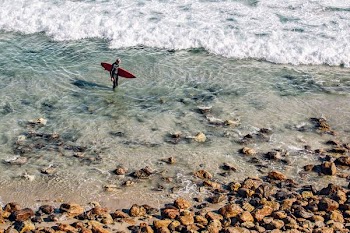 people holding red surfboard standing on body of water