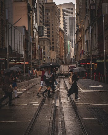 People Holding Umbrellas Crossing The Street