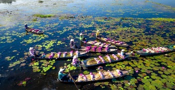 People in Boats on a Lake