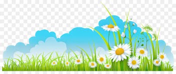 people in nature nature meadow natural environment camomile
