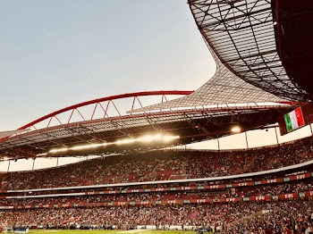 People In Stadium Watching A Game