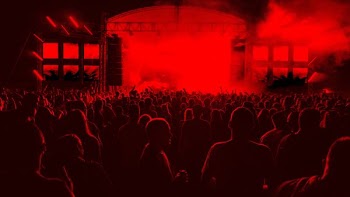 people inside concert ground at night