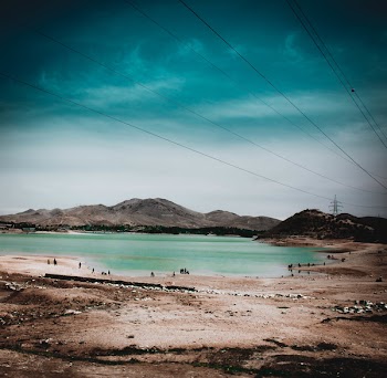 People Near Body of Water