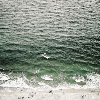 people near on water wave