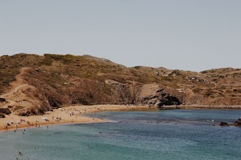 people near seashore swimming and standing during daytime photography