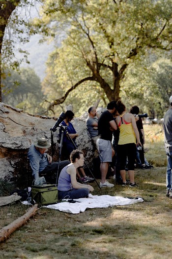 People Near Tree