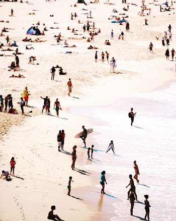 people on beach during daytime