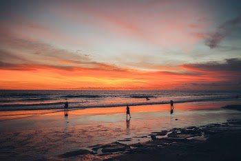 People on Beach during Golden Hour