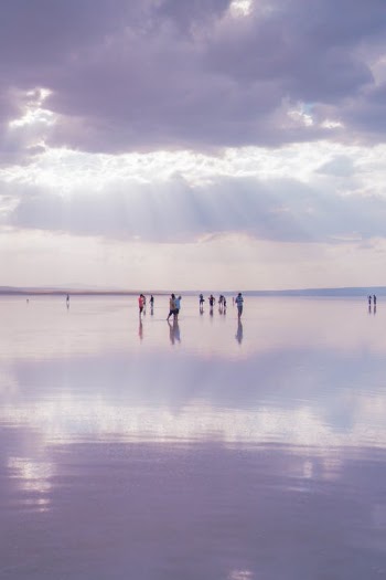 People on Beach · Free Stock Photo