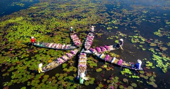 People on Boats in Star Shape