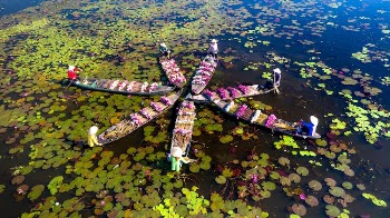 People on Boats with Flowers in Star Shape