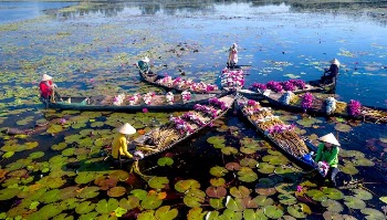 People on Boats with Flowers in Star Shape