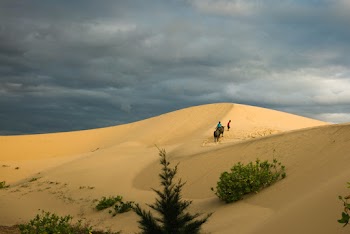 People on Desert