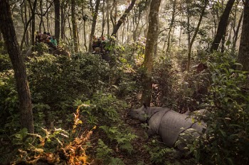 People on elephant back viewing | Free Photo - rawpixel