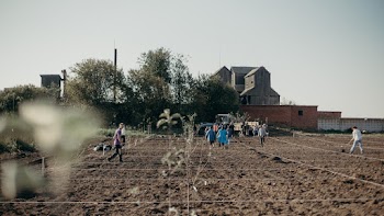People on Field