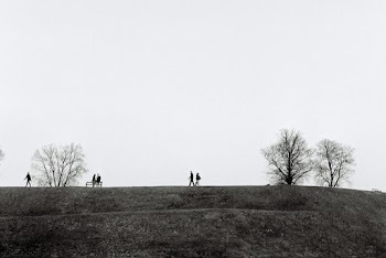 People on Grass and Bare Tree Field during Day