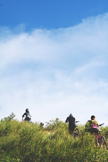 People on Grasses during Daytime