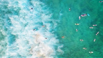People on Ocean