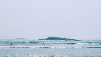 people on seashore near island