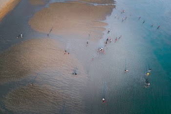 People on Seashores Aerial Scenery