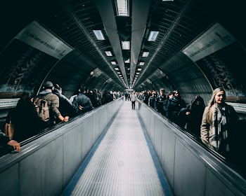 People On Walkalator