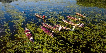 People onn Boats with Flowers
