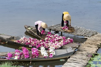 People Picking Flowers 