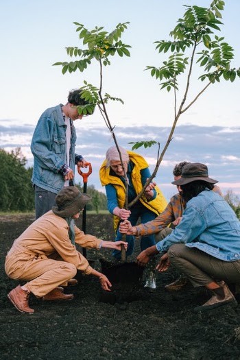People Planting Together · Free Stock Photo
