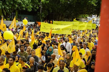 People Rallying and Walking on Street