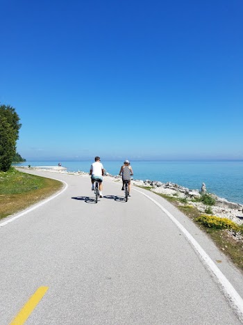 People Riding Bicycle on Road