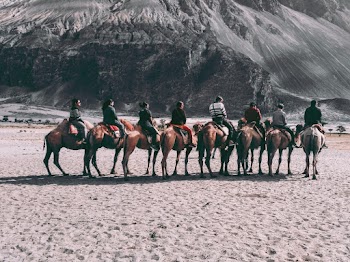 People Riding Horse