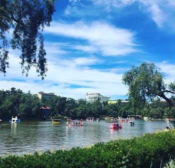 People Riding in Boat on Lagoon