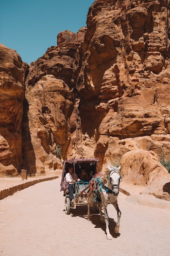 People Riding On A Horse Carriage
