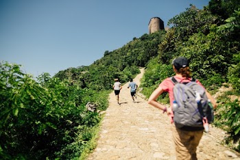 People Running on Pathway Towards The Mountain Top