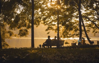 People Seated on a Bench at the Park