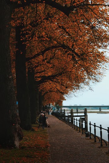 People Siting on Bench