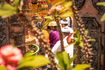People Sitting Near Fruit Arrangement