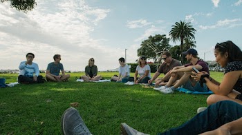 People  Sitting on Grass