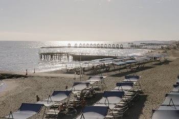 People Sitting on Lounge Chairs on a Tropical Beach Resort
