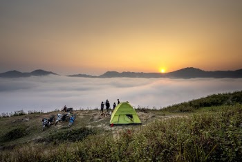 People Standing Beside Green Tent