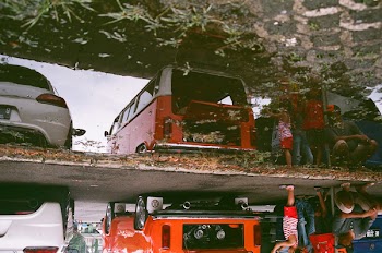 People Standing Beside Parked Vehicles