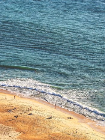 people standing in seashore aerial photography