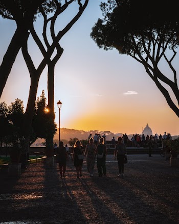 People Standing Near Trees and Lamppost during Golden Hour