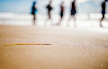 People Standing on Brown San