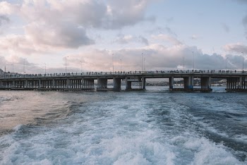 People Standing on Gray Concrete Bridge Above Water