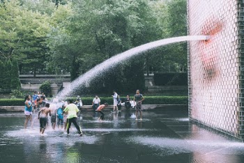 People Standing Trees