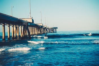People Surfing on Sea Wave